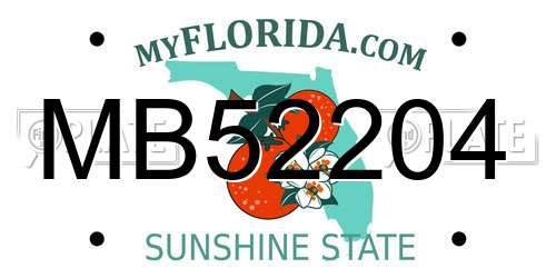 MB52204 Florida License Plate