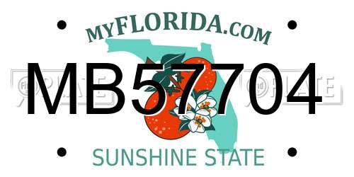 MB57704 Florida License Plate