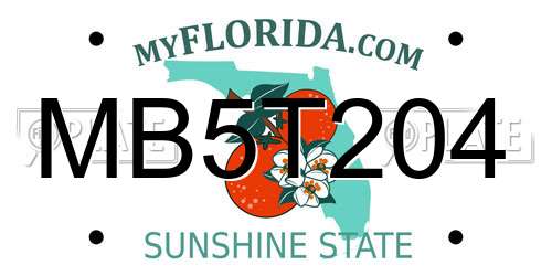 MB5T204 Florida License Plate