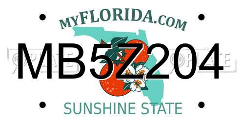 MB5Z204 Florida License Plate