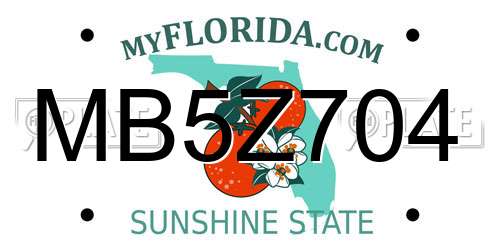 MB5Z704 Florida License Plate