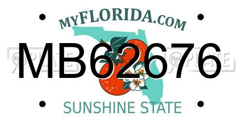MB62676 Florida License Plate