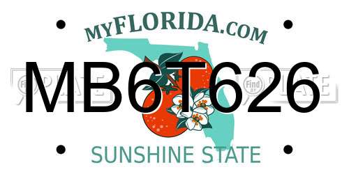 MB6T626 Florida License Plate