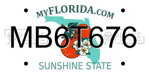 MB6T676 Florida License Plate