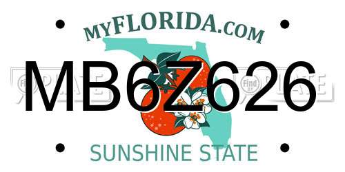 MB6Z626 Florida License Plate