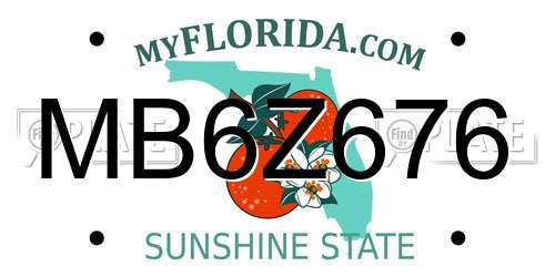 MB6Z676 Florida License Plate