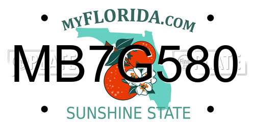MB7G580 Florida License Plate