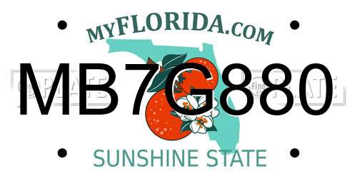 MB7G880 Florida License Plate