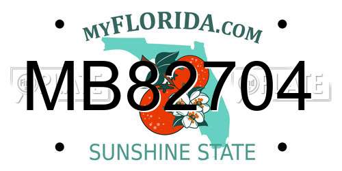MB82704 Florida License Plate