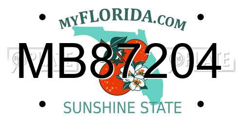 MB87204 Florida License Plate