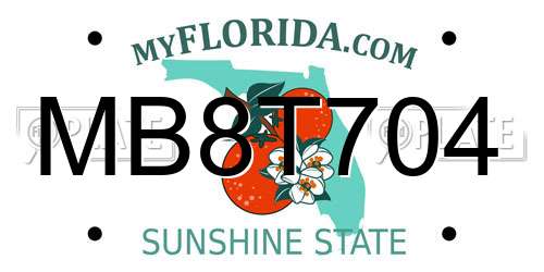 MB8T704 Florida License Plate