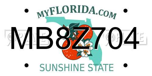 MB8Z704 Florida License Plate