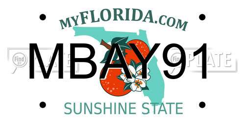 MBAY91 Florida License Plate