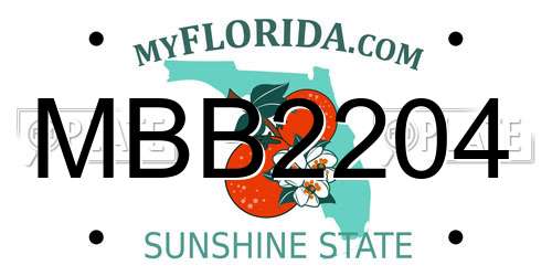 MBB2204 Florida License Plate
