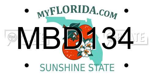 MBD134 Florida License Plate