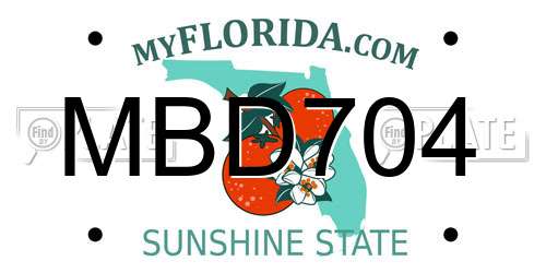 MBD704 Florida License Plate