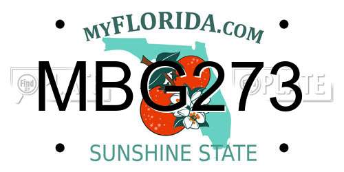 MBG273 Florida License Plate
