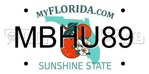 MBHU89 Florida License Plate