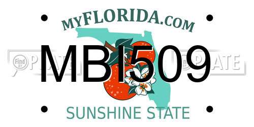 MBI509 Florida License Plate