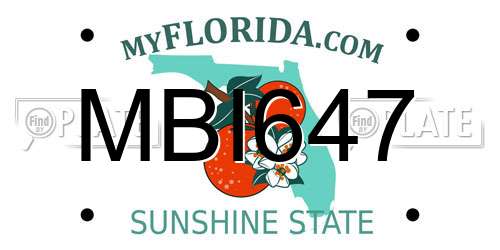 MBI647 Florida License Plate