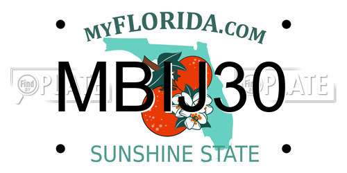 MBIJ30 Florida License Plate
