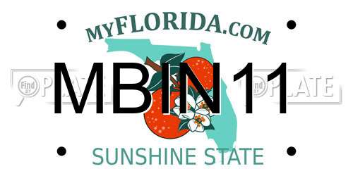 MBIN11 Florida License Plate