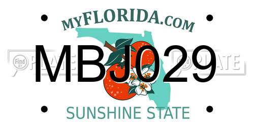 MBJ029 Florida License Plate