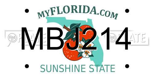 MBJ214 Florida License Plate