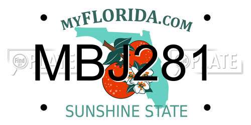 MBJ281 Florida License Plate