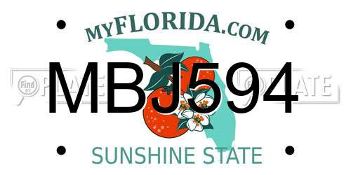 MBJ594 Florida License Plate