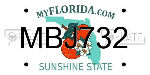 MBJ732 Florida License Plate