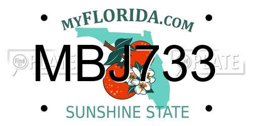 MBJ733 Florida License Plate