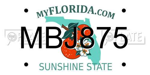MBJ875 Florida License Plate