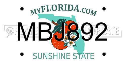 MBJ892 Florida License Plate
