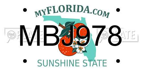 MBJ978 Florida License Plate