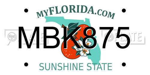 MBK875 Florida License Plate