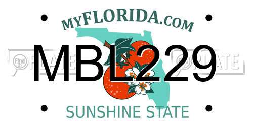 MBL229 Florida License Plate