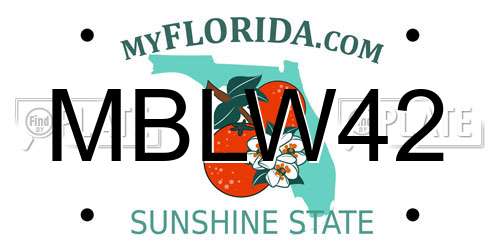 MBLW42 Florida License Plate