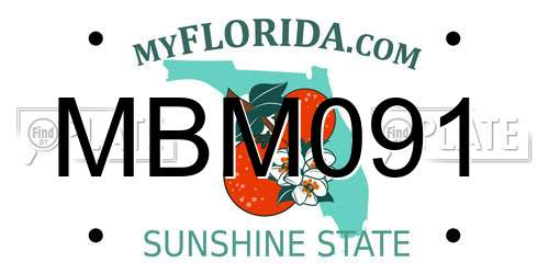 MBM091 Florida License Plate