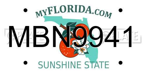 MBN9941 Florida License Plate