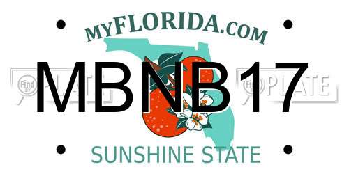 MBNB17 Florida License Plate