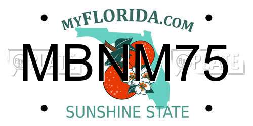 MBNM75 Florida License Plate