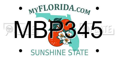 MBP345 Florida License Plate