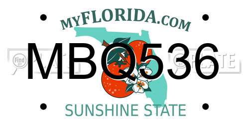 MBQ536 Florida License Plate