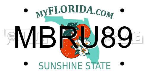 MBRU89 Florida License Plate