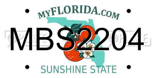 MBS2204 Florida License Plate