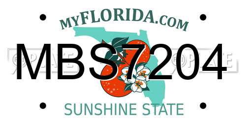 MBS7204 Florida License Plate