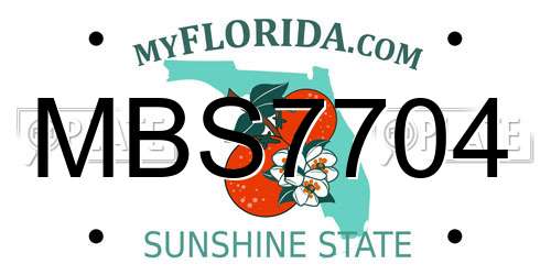 MBS7704 Florida License Plate
