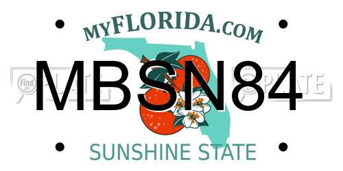 MBSN84 Florida License Plate
