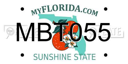 MBT055 Florida License Plate